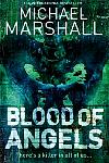 Blood Of Angels Book Jacket.jpg